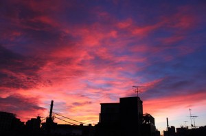 IMG_4922