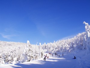 DSC03930